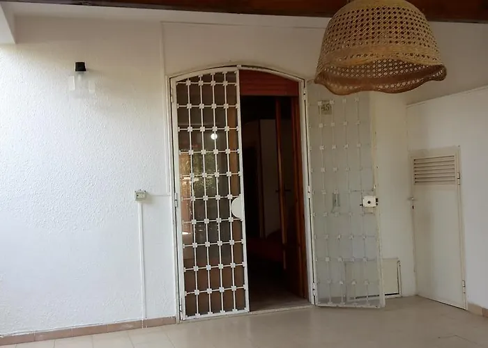 Negroni غالّيبولي